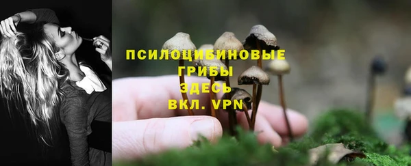тгк Заволжье