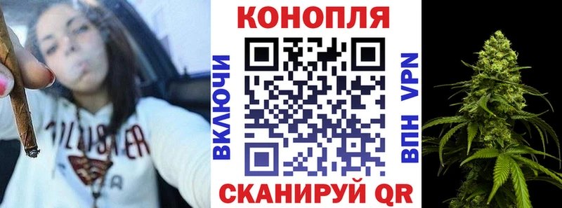 Купить закладки  Бакал  Бошки Шишки Amnesia 